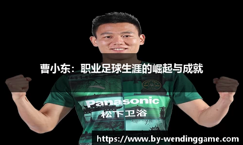 问鼎娱乐平台
